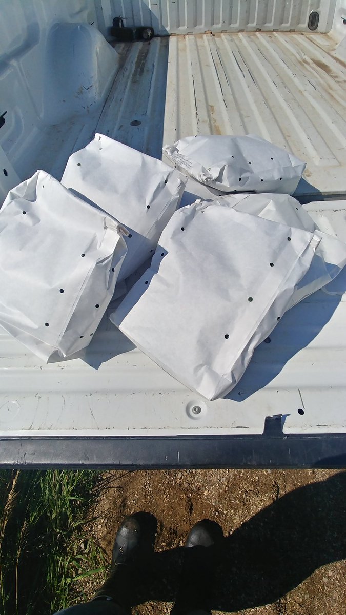 Lindsey Berg tweet media