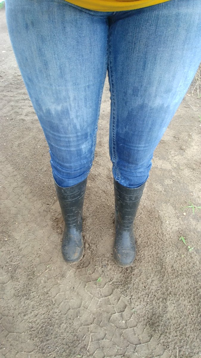 Lindsey Berg tweet media