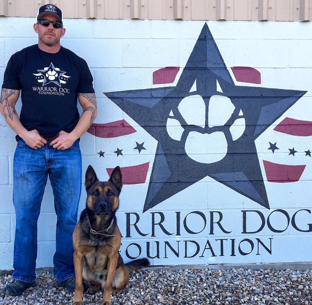 MRitland's tweet photo. Did you listen to the new podcast? 

For those of you asking what Nico looks like, I’m sharing a photo from his time with me at the Warrior Dog Foundation. 
For those not familiar, I founded the WDF to give all working dogs a place to retire &amp; get mental/physical rehabilitation! https://t.co/cPqGOBOaVl