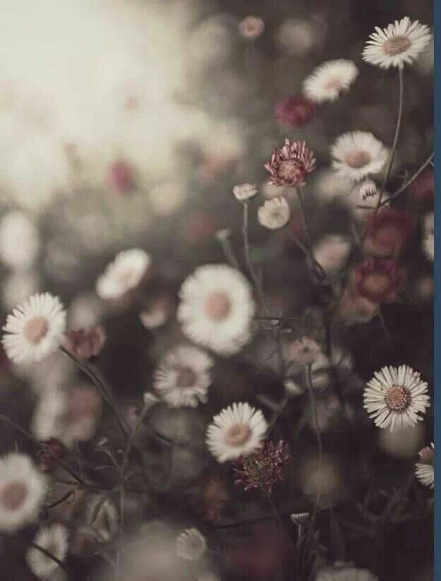 지금의
당신의 삶은

당신 스스로가
창조하고 만들어 낸 결과이다

미래의 삶 또한
당신의 창조에 따라 만들어진다

좋은 삶을 원한다면
항상 좋은 생각과 바라는 삶을 꿈꾸면 된다

그것이 현실이 되어 찾아오게 될 것 이다