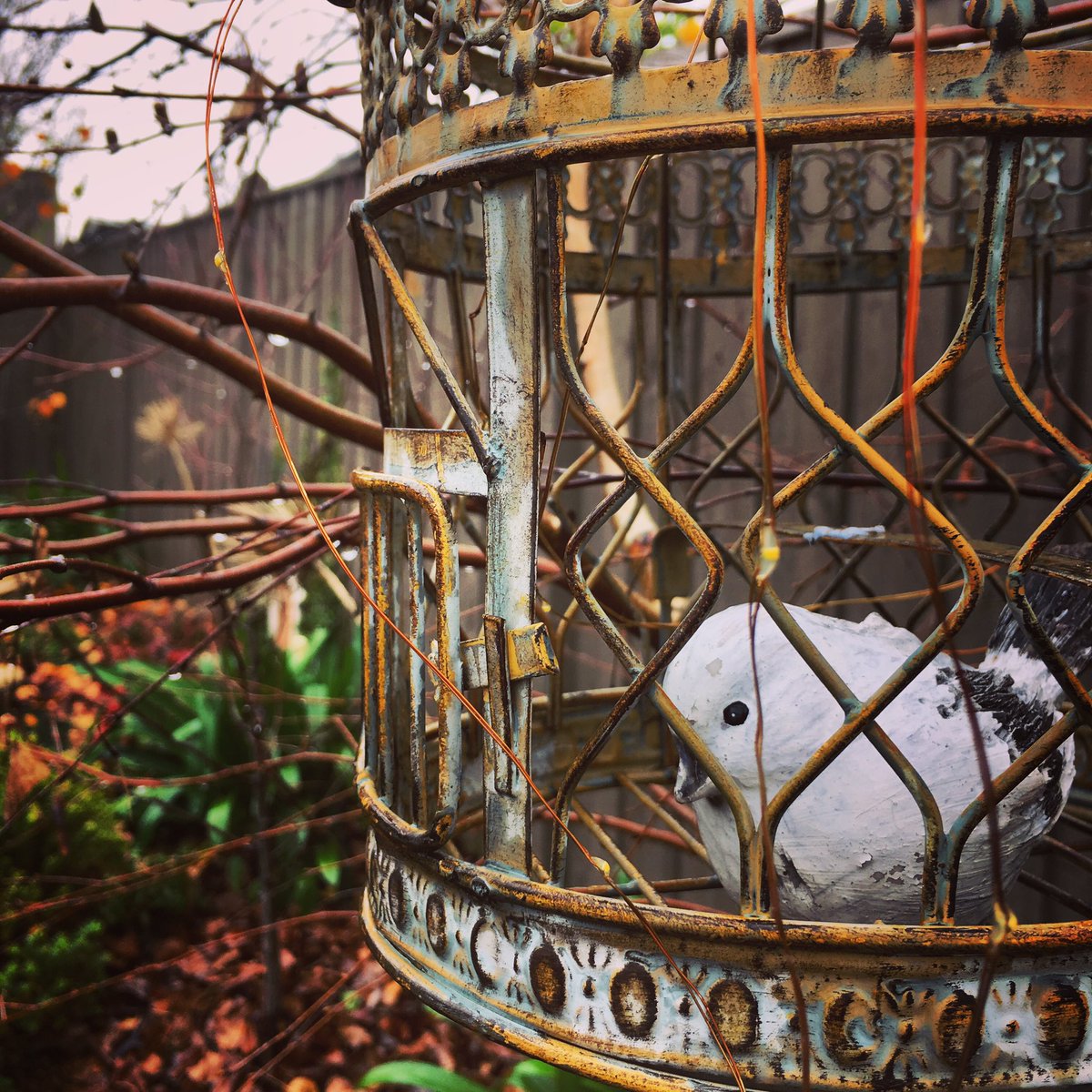 KMAllan_writer's tweet photo. It’s currently raining where I live, which I always find creates the perfect atmosphere for writing. How about you? Do you like to write when it rains?
....
#writerslife #weekendplans
#selfcaresaturday #weekend #rain #writingatmosphere #writingcommunity https://t.co/fOFKhf0cAZ