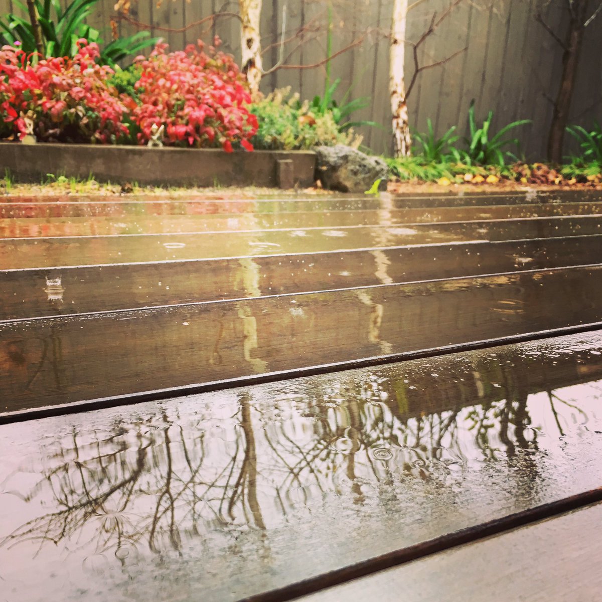 KMAllan_writer's tweet photo. It’s currently raining where I live, which I always find creates the perfect atmosphere for writing. How about you? Do you like to write when it rains?
....
#writerslife #weekendplans
#selfcaresaturday #weekend #rain #writingatmosphere #writingcommunity https://t.co/fOFKhf0cAZ