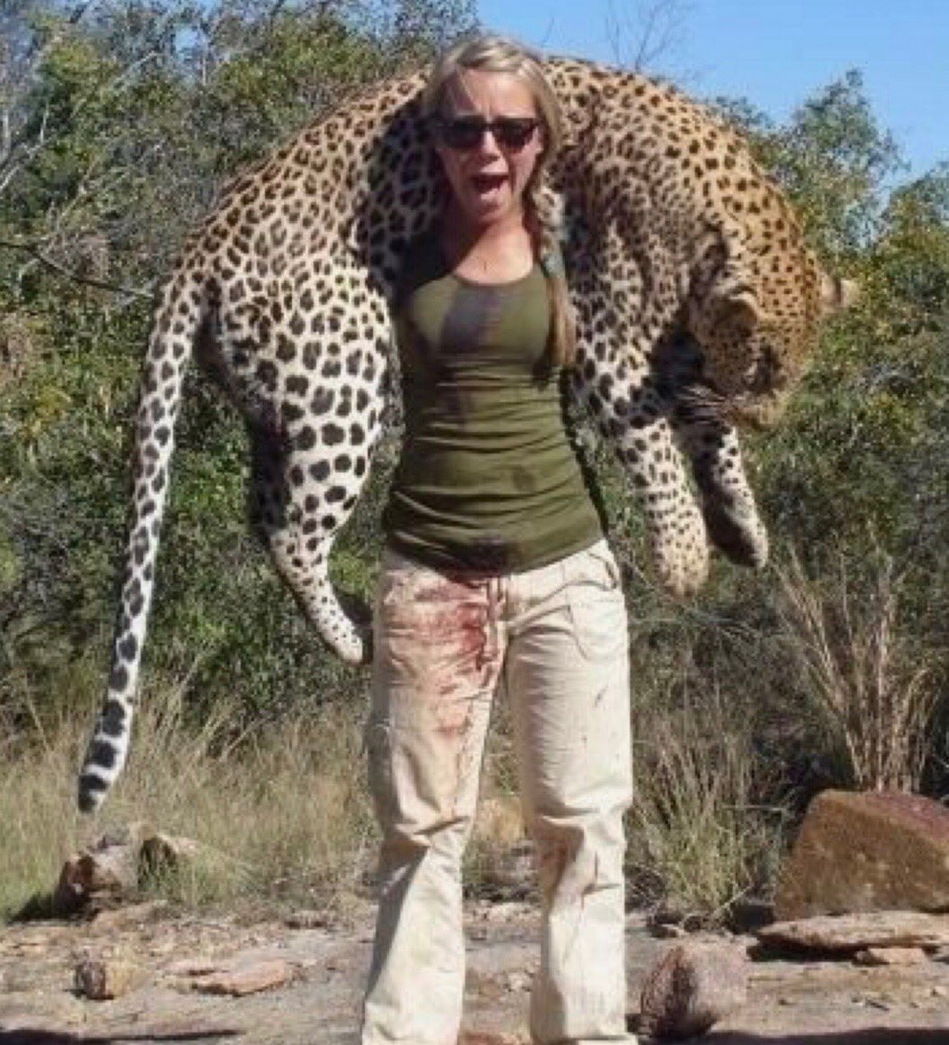 “LOOK AT ME!! I’VE EVEN GOT ITS BLOOD ON ME!!” Who knew killing endangered wildlife could be such a THRILL!?!

It’s time to BAN trophy hunting! It’s time to STOP trophy imports! Please sign/share/retweet if you agree!