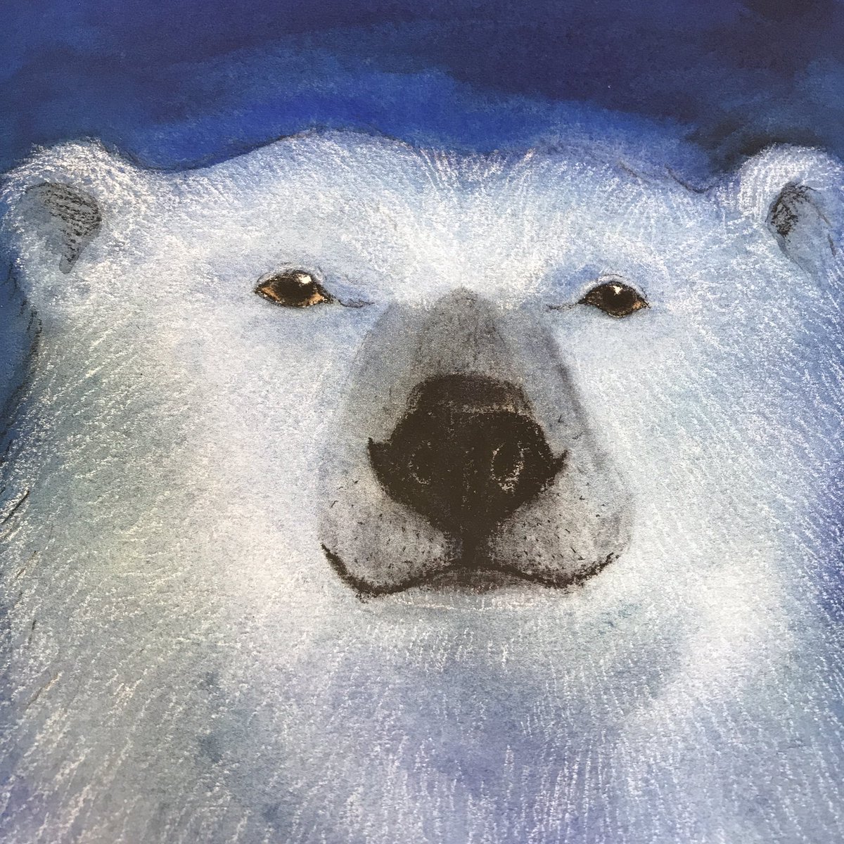 JessicaWalshEdu's tweet photo. Have you seen Sea Bear: A Journey for Survival by Lindsay Moore? It is a quietly powerful, stunningly illustrated picture book for all ages!
#bookaday #204Reads #bookadaychallenge @ncte #buildyourstack #educatorexplorerbookclub
#natgeoeducation @natgeoeducation
@GreenwillowBook https://t.co/s58iyfQh2b