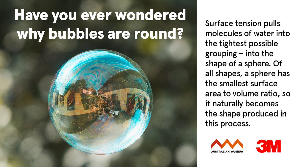 AMscifest's tweet photo. 24 days to go until Science in the City 2019! To celebrate here’s a #science factoid via our mates at @3M 
#SITC19 #scienceweek @austmus https://t.co/tUhGTekiJp