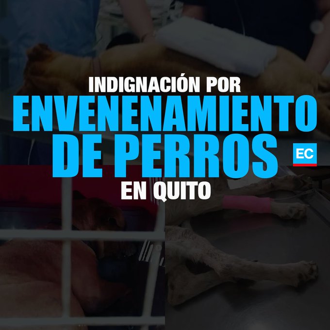 Ver imagen en Twitter