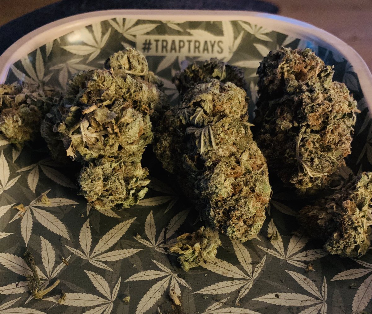 michaelishigh's tweet photo. #donkeybutter gang πΏπΏπΏπ₯π© Time for round two!
#stonerfam #cannabis #staylifted #traptrays #friday https://t.co/7HIgLeTKfo