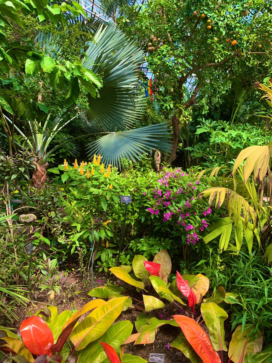 VisionLiveInc's tweet image. Andventures in paradise