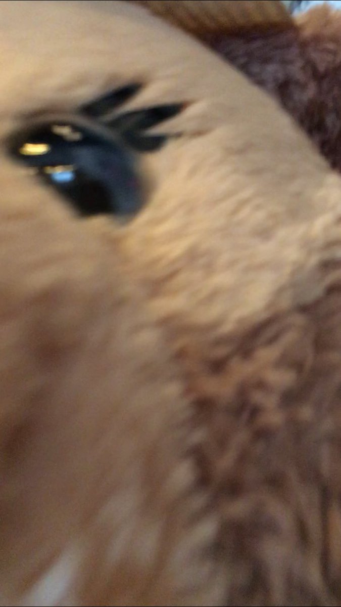 年パスラス日なので一人でインしてます！☺️🎀✨