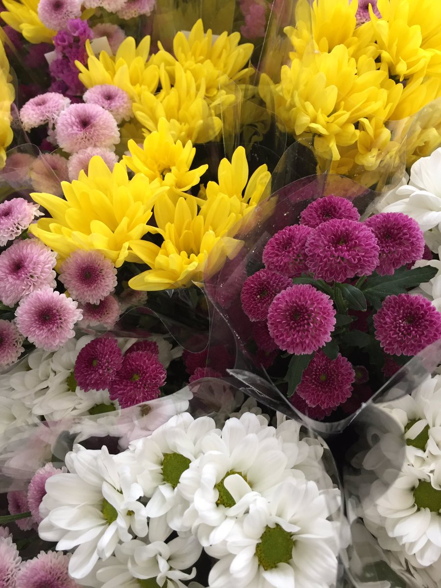 ট ইট র 湘南 寒川の花屋 千秋園 7月のお盆 千秋園では 鮮度の良い 切り花を 入荷 その為 店舗様へ 切り花の卸販売もさせて頂いてます ご予約頂いている 店舗様へ これから配送されます 良い花 お楽しみに 花屋千秋園 藤沢 海老名