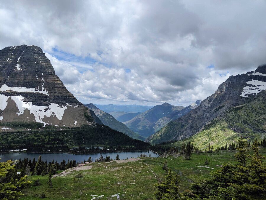 MEF goes to Montana! 🌲🏞