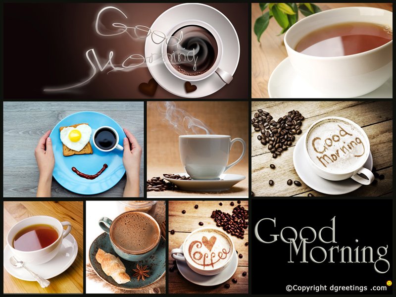 dgreetings's tweet photo. One inspirational #goodmorning #message from you can make your #lovedone entire day. Help them to kick-start their day with new spirit by showing your #love and care through a good morning #Textnote, card or mail
https://t.co/02rcoykzlq
#photooftheday #morning #DGreetings https://t.co/nkMM9VMPcS