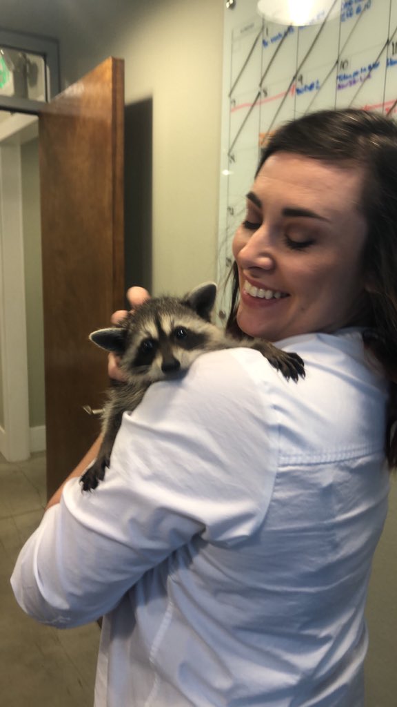 Firecracker_Mo's tweet photo. I hope that my boss will follow the lead of Michael Scott, should I develop rabies from a work event https://t.co/xp2mRaVRwG