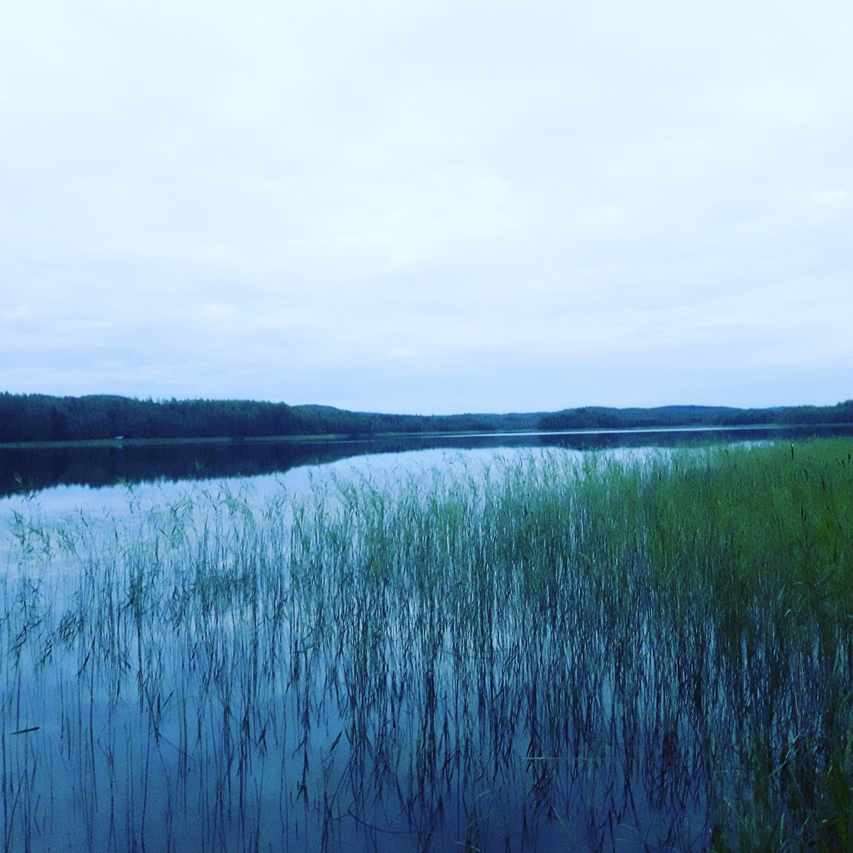 JukkaHuikko's tweet photo. Eilisillan tyyni #Vihijärvi #Nisula #Toivakka. Mäkien takana puolestaan synnyinkylä #Rutalahti. Iltapäivästä sitten #JCS2019. #Joutsa #chopper https://t.co/HTpGIppfYa