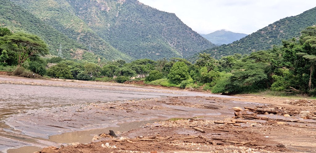Good morning from the banks of the silt-filled Murony River.