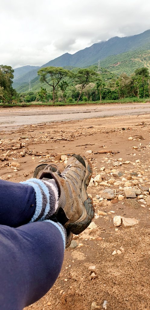 Good morning from the banks of the silt-filled Murony River.