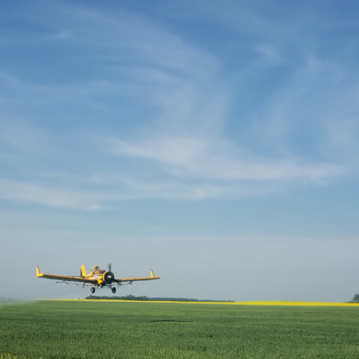 tfollis97's tweet photo. #teamnotracks fungicide done right. https://t.co/mUgRn9A1mC Thanks again for another great job. https://t.co/TaSfUIsLNg