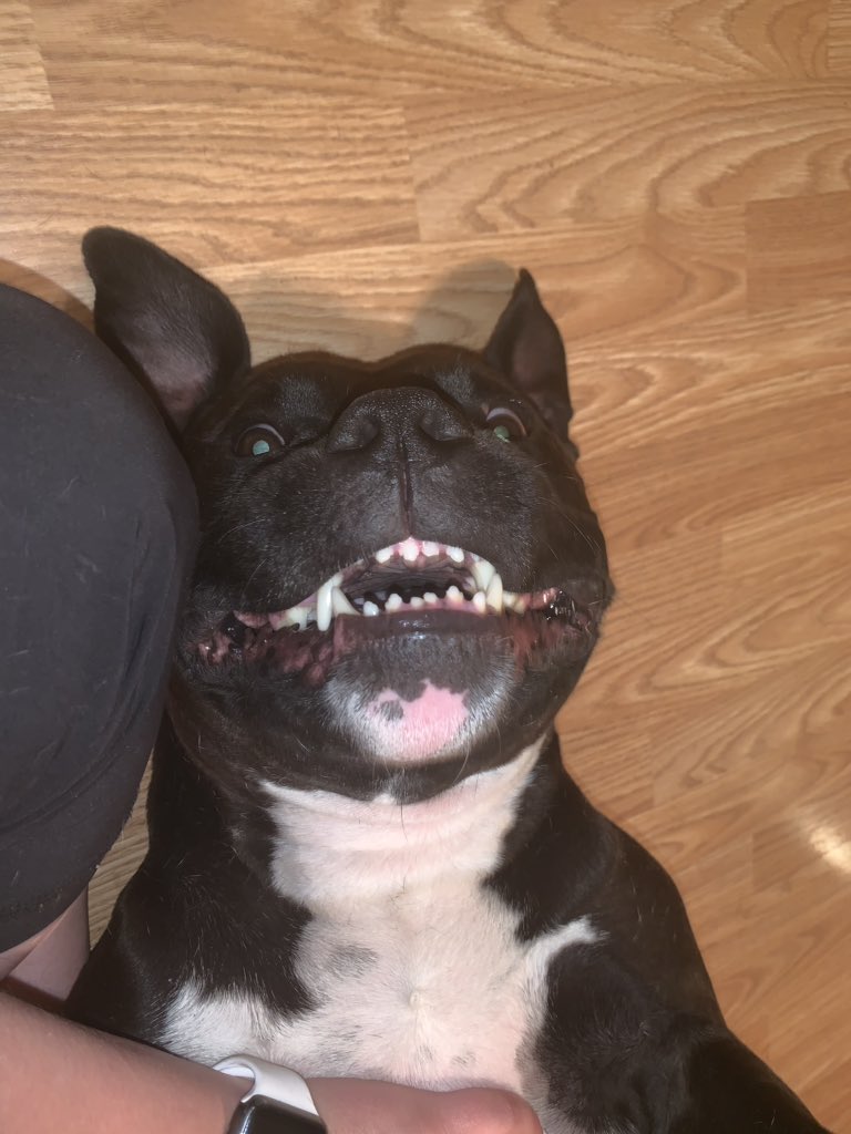 jade2001lol's tweet photo. Incase you need a smile. https://t.co/dTUudgcFU0