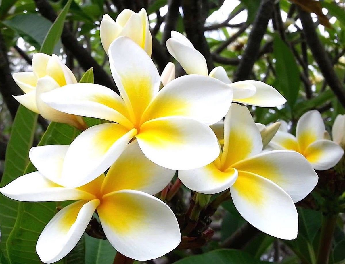 AngelaMariabs20's tweet photo. Happy day to all.

💛💛🍃🌻🌻💛💛🌼🌼🍃💛💛 https://t.co/1PHZ0pQMYU