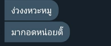 หมูน้อยขอขิง🐷 tweet media