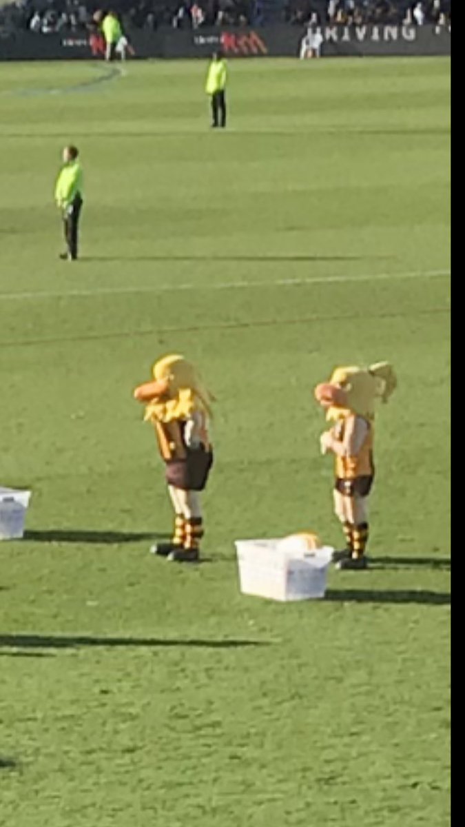 BenGlenHuon's tweet photo. Quarter time at the footy in Launceston, and a broccoli and corn cob have walked onto the field? There also seems to be a uh female Hawka #AFLHawksFreo https://t.co/oqECK4MFzL