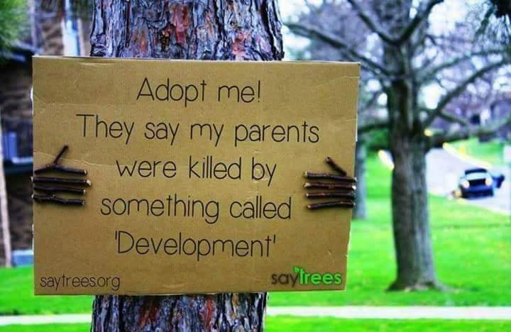 earthiscrying's tweet photo. My big no to any such developments which demand so much sacrifice of Mother nature. #SayNoToDevelopment @PMOIndia @narendramodi @PrakashJavdekar Can we please save our future generations by preserving our natural resources and planting trees. #MakeTreeChoppingCrime @rahconteur https://t.co/trrvhe5IJZ