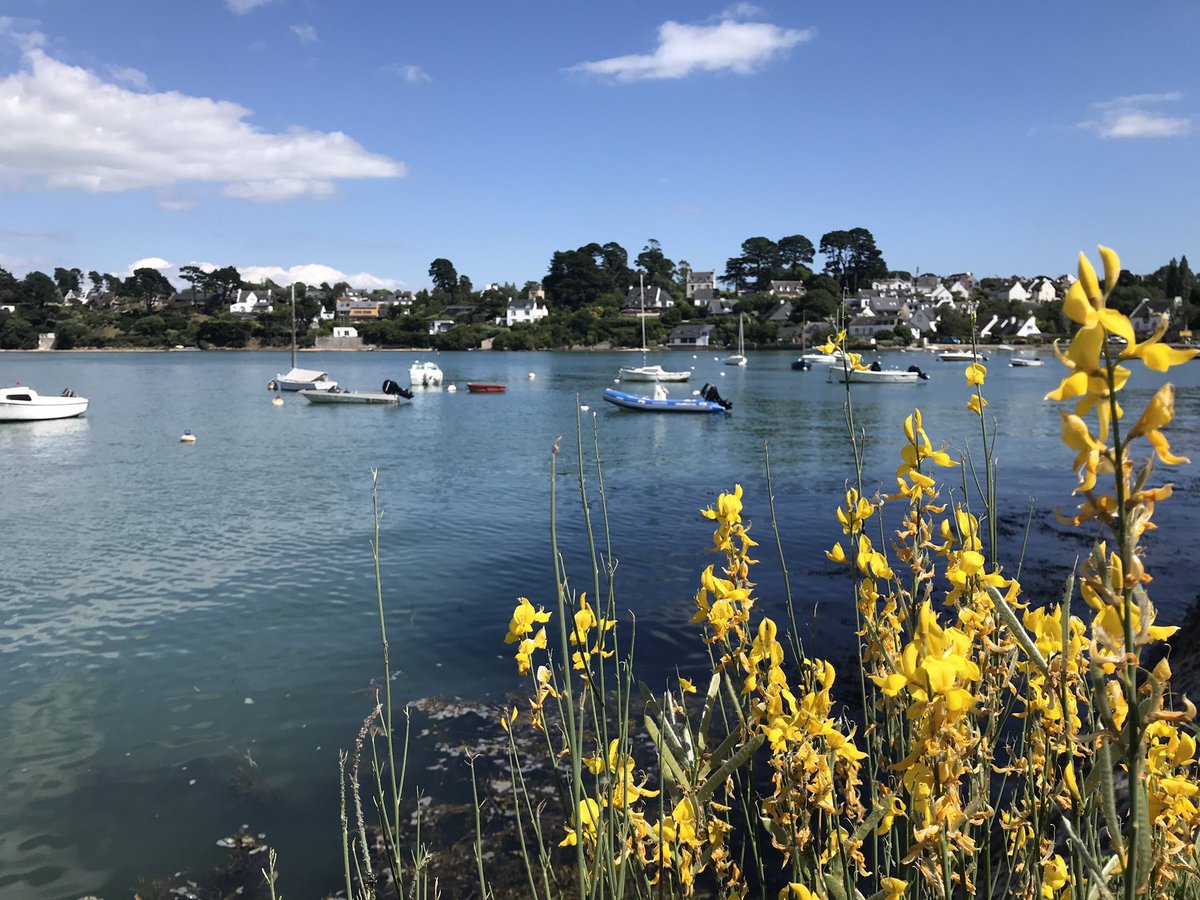 BreizhWeCan's tweet photo. Twello en [PHOTO] 💙 RT @BorisBloche #IleAuxMoines #Morbihan #MagnifiqueBretagne #Izenah https://t.co/vr0NCwDHWU