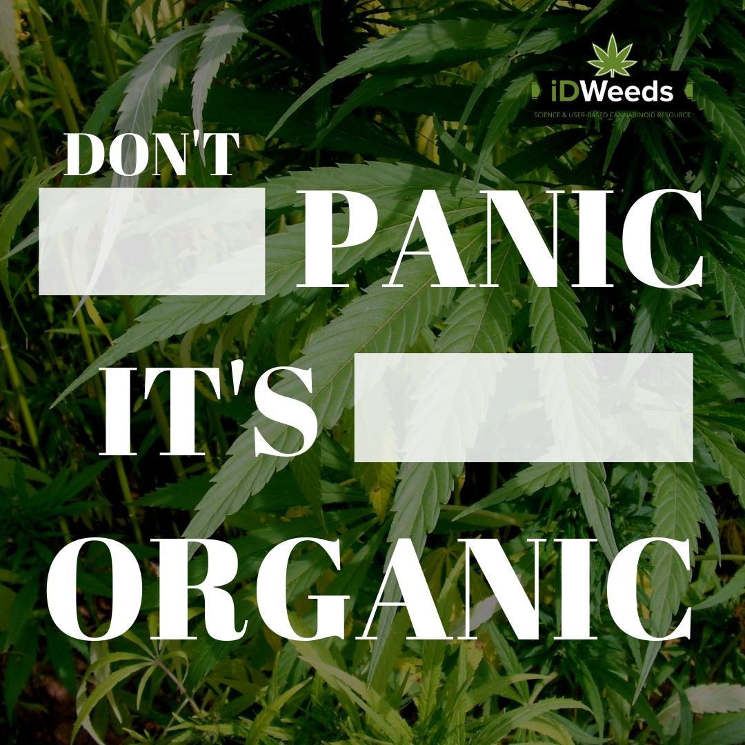 idweeds_com's tweet image. CBD is totally organic.
zurl.co/YgE3 
.
.
#cbd #organic