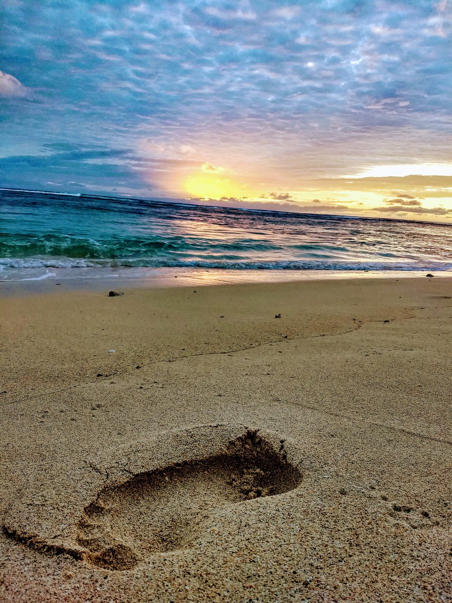rjolly44's tweet photo. #Winter_getaway drop the mic #Cook_Islands https://t.co/YCk19Hcz30