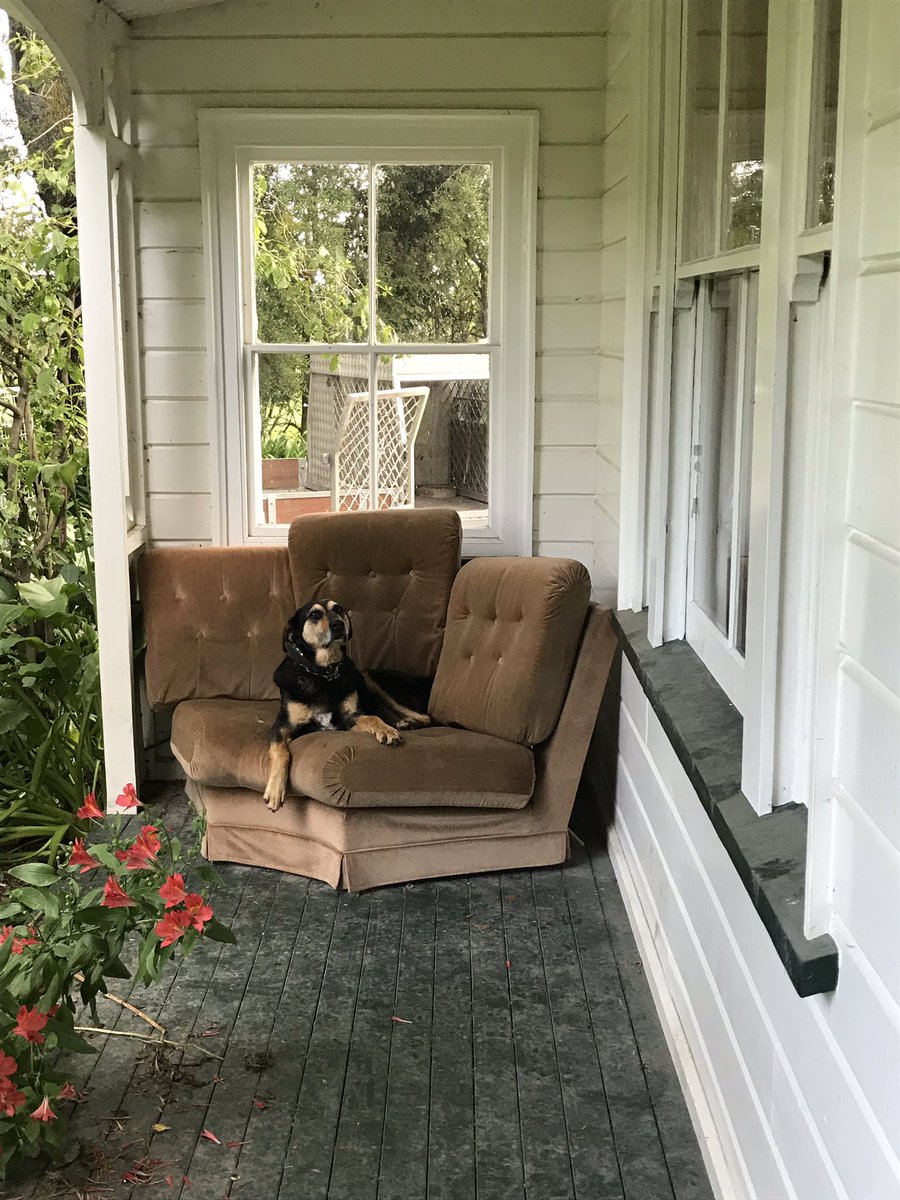 Matt McEvedy 🥝🌾🐑 tweet media