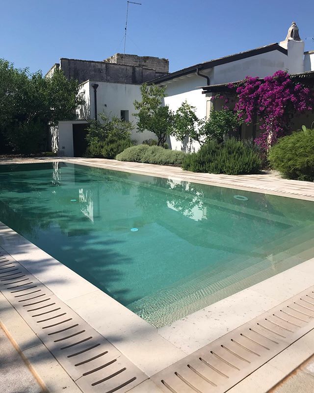 katecshaw's tweet photo. No filter required! One last swim before we tear ourselves away! #poolside #gardenview #bougainvillea #oldhousenewhome #renovation #villagehouse #myitalianhome #heartsofhome #myhappyplace #instasalento #weareinpuglia https://t.co/scmN5LzHr4 https://t.co/hhhMJb5vHz