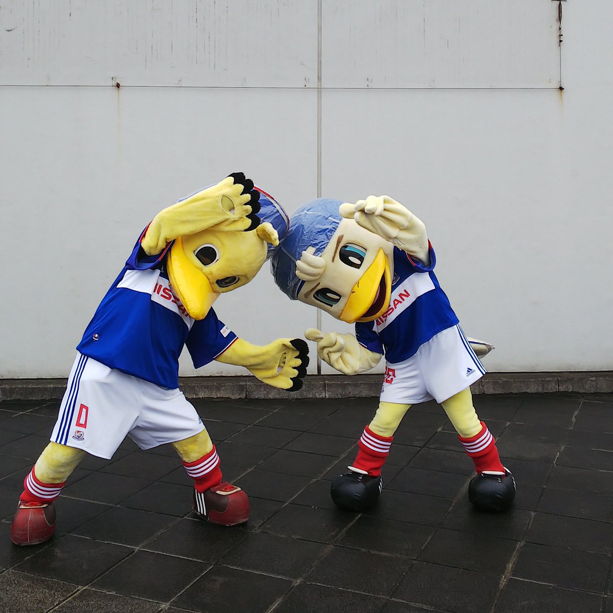 ヨモギ בטוויטר フュージョン マリノス君かめはめ波 自由なマリノスケ マリノス君 マリノスケ Fmarinos