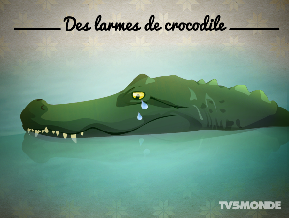 Twitter पर Tv5monde Japon フランス語表現 動物 Des Larmes De Crocodile 直訳 ワニの涙 意味 何らかの目的のために涙を流すふりをすること