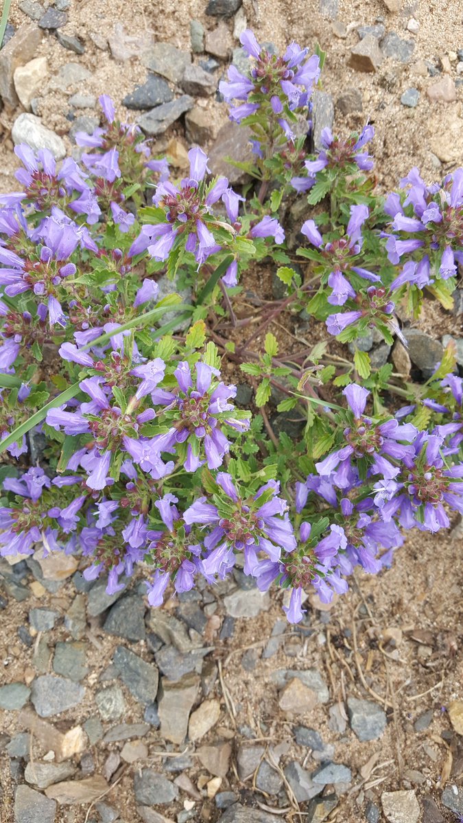 Тэрхийн цагаан нуураас