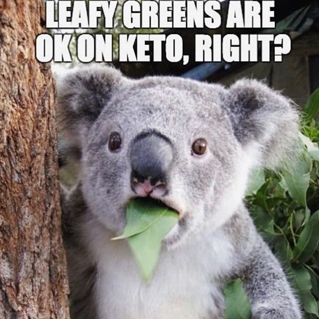 G50Studio's tweet photo. Eat Green #NoDiets #Balance #Vegan #PlantBase #veganfood #body #meditation #balance #farm #farmhousekitchen #farmtotable #cheflife #absworkout #gluteworkout #personaltrainer #train #pilates #recipes #recycle #squat #earth #koala #read #sweat #yoga #itsTi… https://t.co/3eXl5LT7S1 https://t.co/nrGIiSkvWM