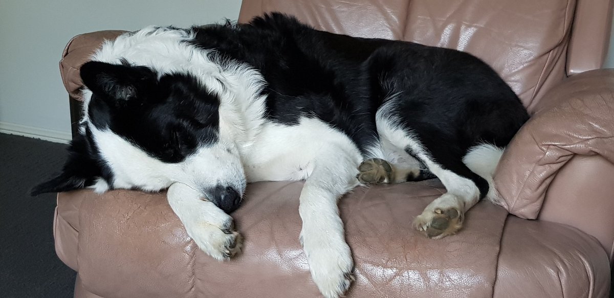 Dr Eleanor Browne tweet media