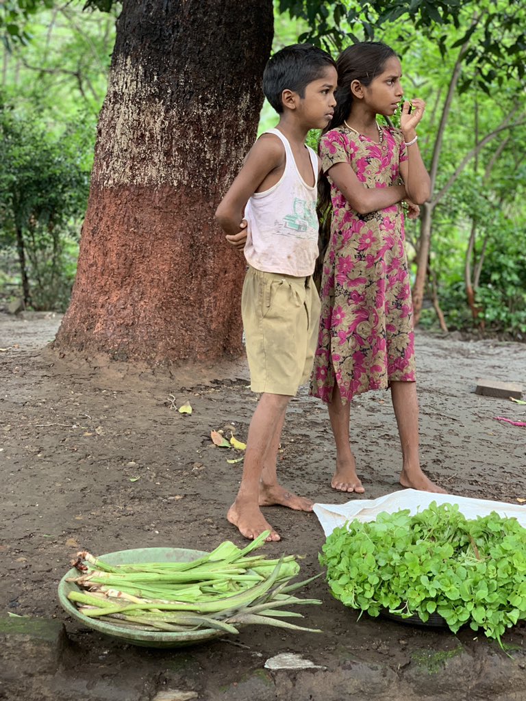 RujutaDiwekar's tweet photo. Rural India looking at urban India and wondering if their greens will find value and respect in the world of celery, kale and brocolli. https://t.co/lD5bZl5aPd