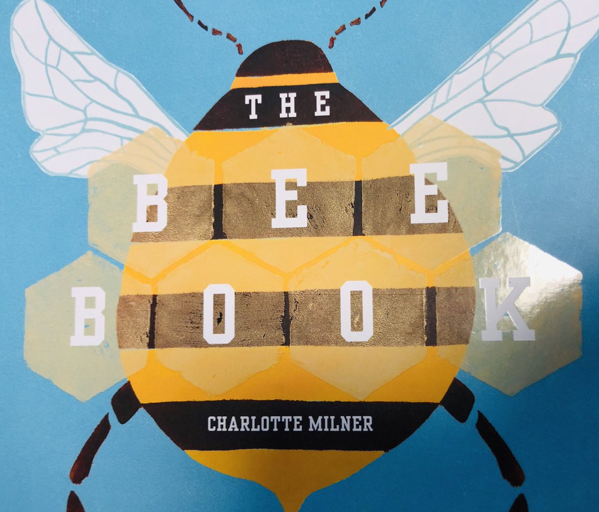 StPetersAshton's tweet photo. Monday marks the start of Bee Week! Here are some of the stunning texts that the classes will be using alongside their work with the amazing @gillyparishart #TamesideLovesReading #Bees #BeeWork #Art #DT #Books https://t.co/Knjh1mUUio