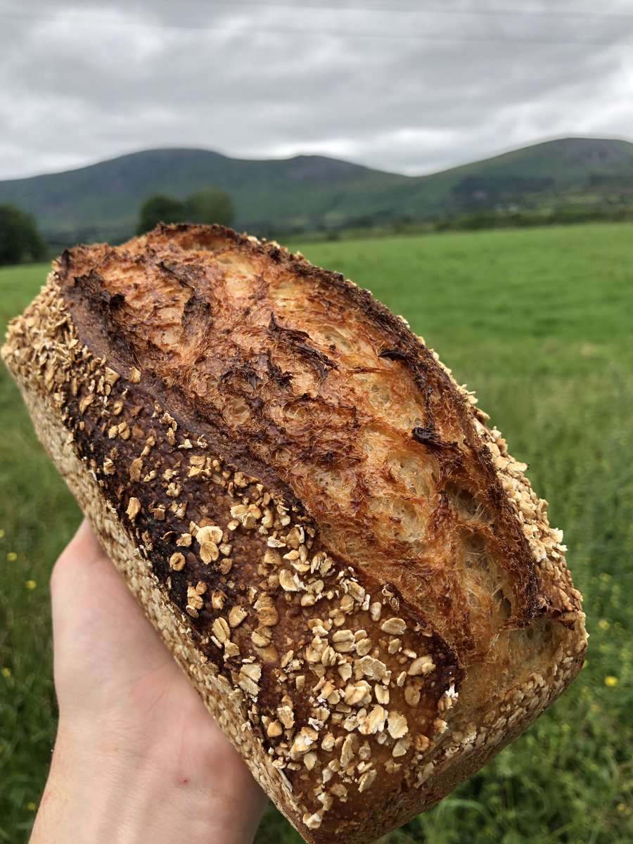 PlurBakery's tweet photo. Oats + Honey just out of the oven! I wish you could smell the honey 🍯
#thisismycraft #livefreeandbake #flourwatersalt
#realbread #realbreadrising #sourdoughbaking
#artisanbread #wildyeast #naturallyleavened #irishbaker #irishbakery #fermentation  #irelandsancienteast #bakergram https://t.co/k2FbAvurd2