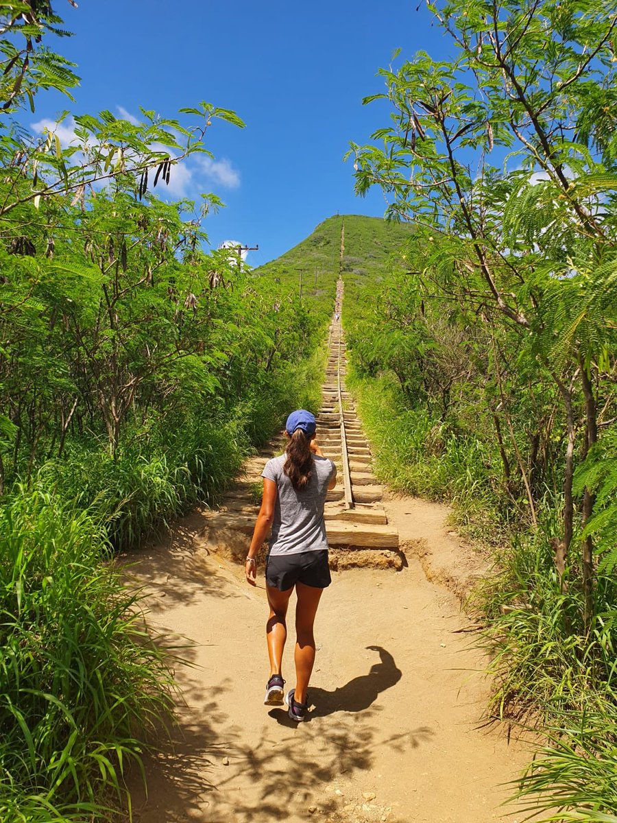 Arina Rodionova tweet media