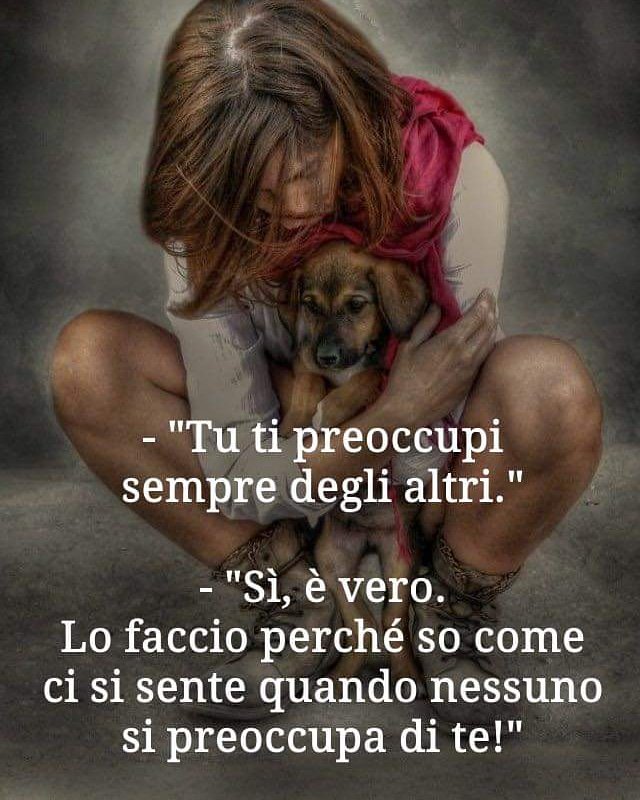 STEED (@STEED19) / Twitter