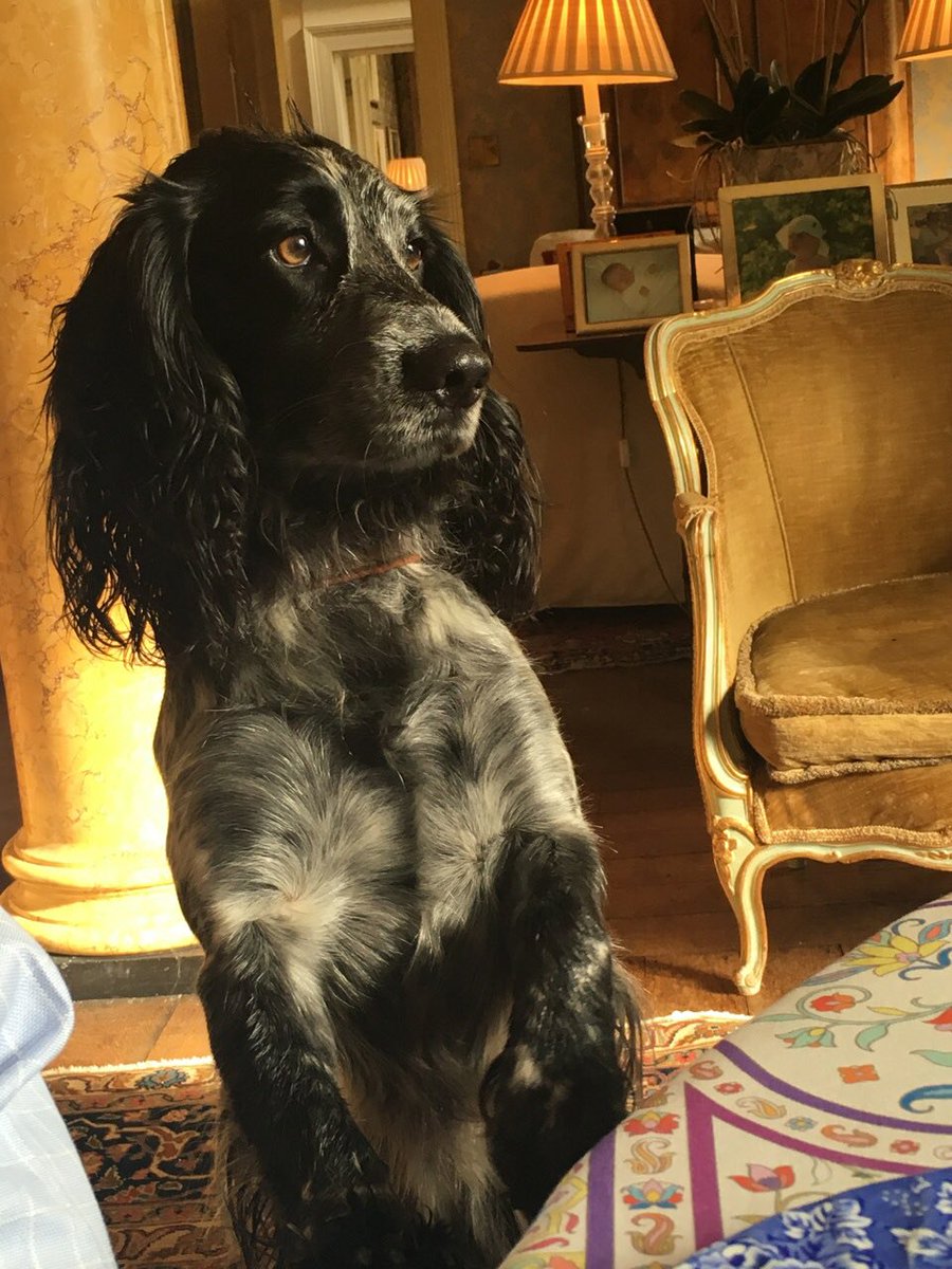 FeelsGlorious tweet media