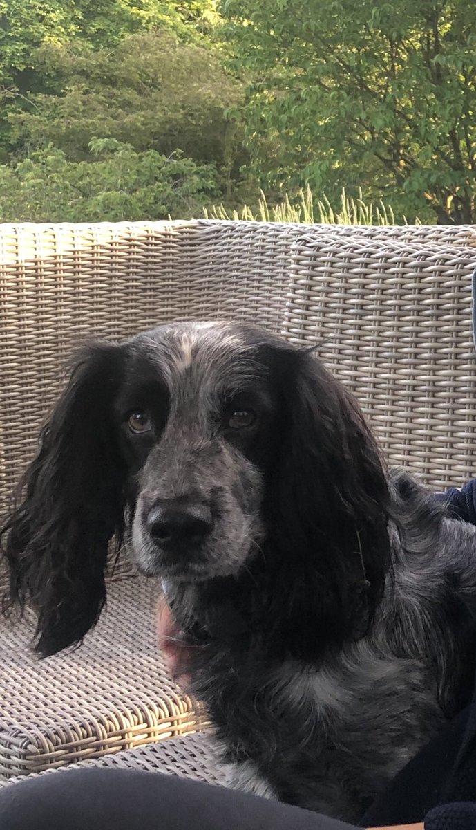 FeelsGlorious tweet media