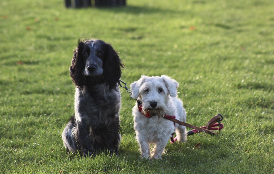 FeelsGlorious tweet media