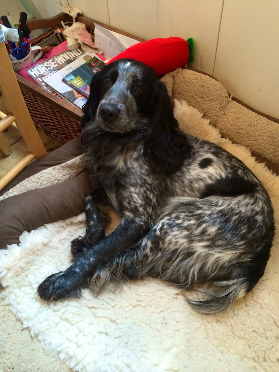 FeelsGlorious tweet media