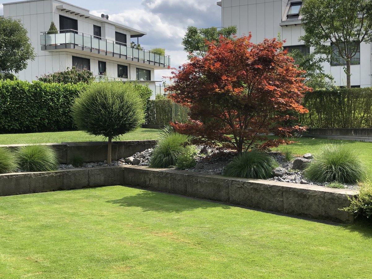 Stefan Trappitsch tweet media