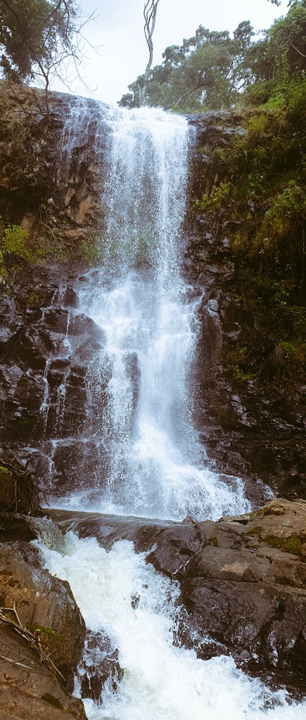 It just hit me that I started the thread on Day #2. Day #1 was spent hiking Kessup Forest and falls in Iten. There are two falls both called Kessup. This is the first one.