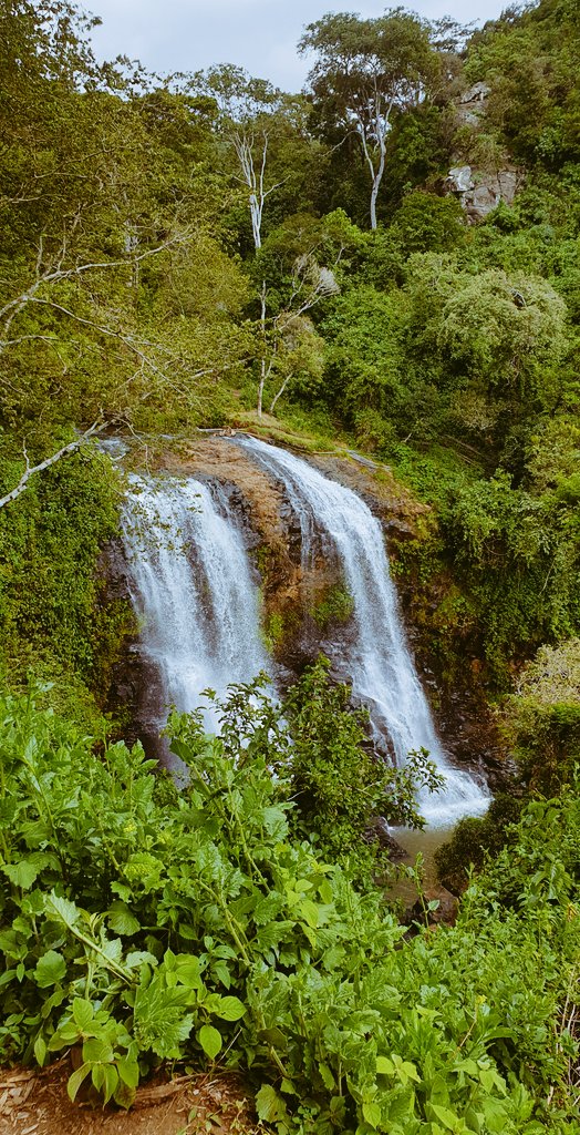 It just hit me that I started the thread on Day #2. Day #1 was spent hiking Kessup Forest and falls in Iten. There are two falls both called Kessup. This is the first one.