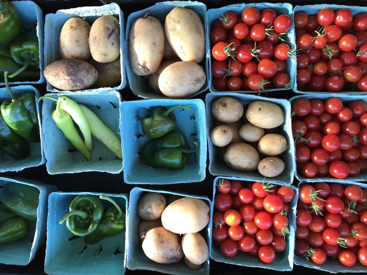WildhorseMarket's tweet photo. #mustangoklahoma #farmersmarket open TODAY until noon.  #freshproduce #okgrown https://t.co/UHna51941d