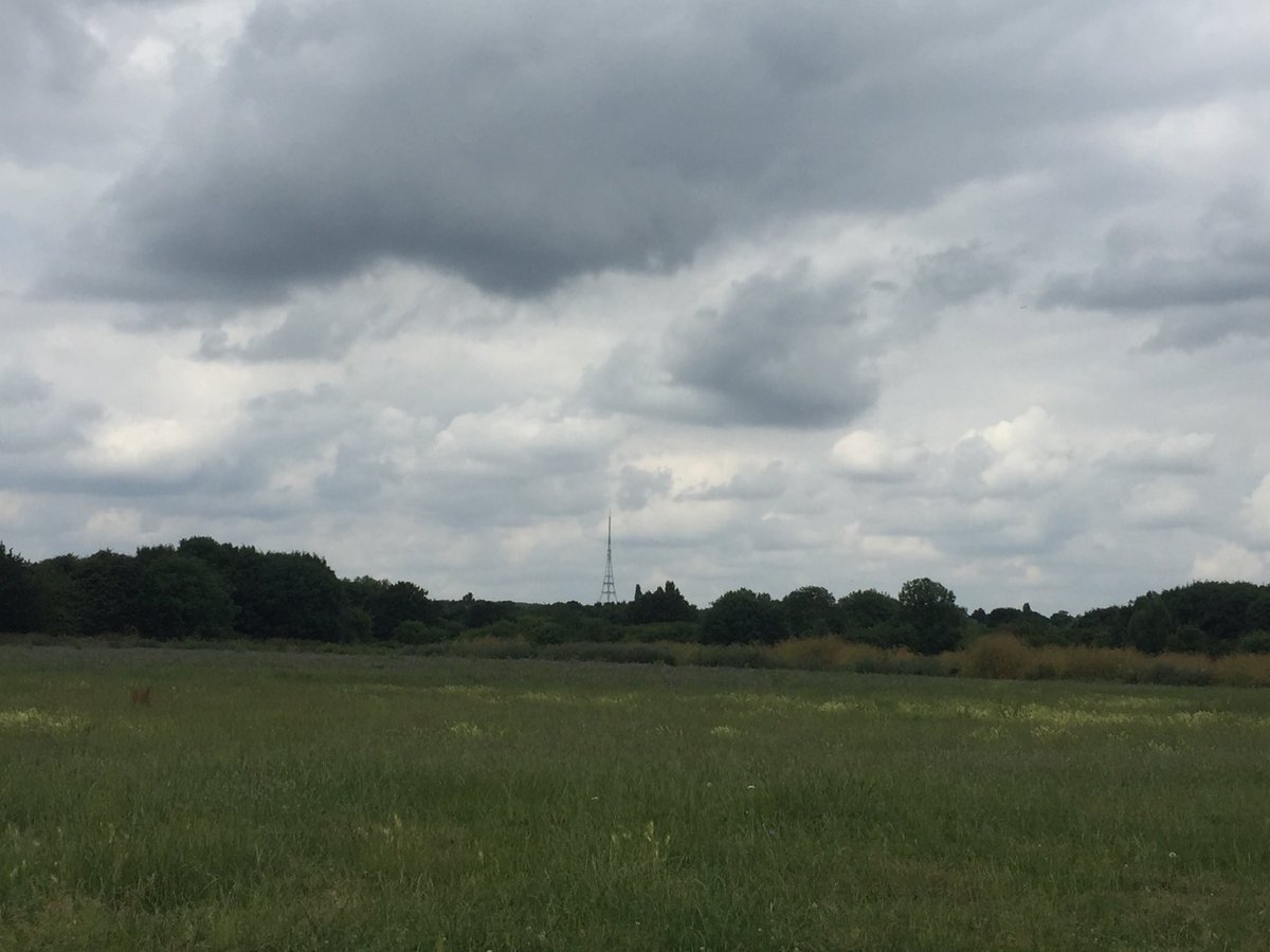 Pippipat's tweet photo. #SportIsTherapy #Running #SouthNorwoodCountryPark #London #HappyWeekend #FelizFinde #PatPie #PatFoot https://t.co/svtZmEuRej